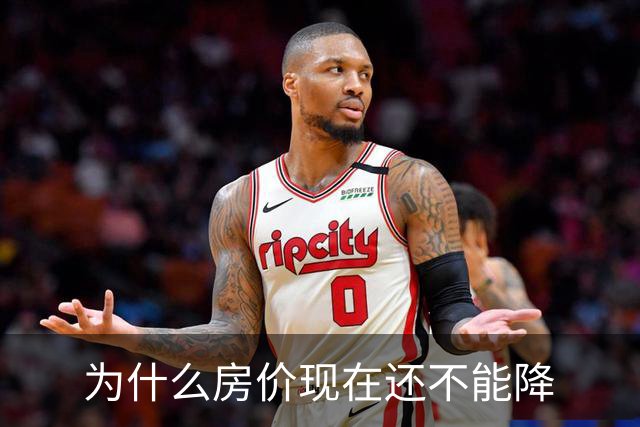 为什么房价现在还不能降