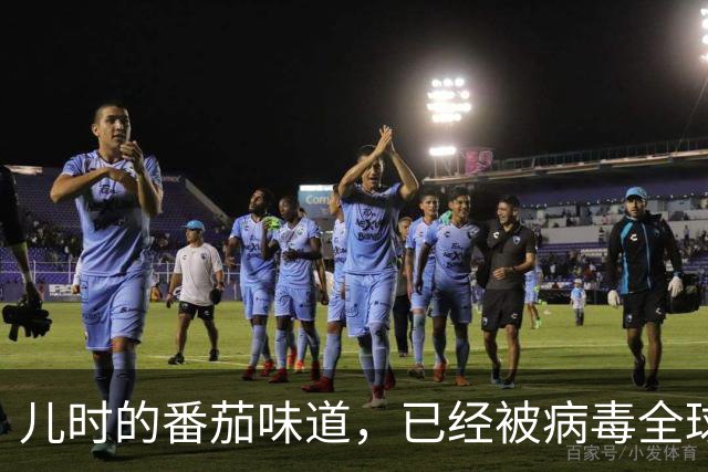 儿时的番茄味道，已经被病毒全球灭绝了20多年