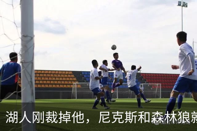 湖人刚裁掉他，尼克斯和森林狼就盯上了
