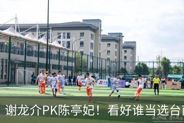 谢龙介PK陈亭妃！看好谁当选台南市长？网络投票结果超意外